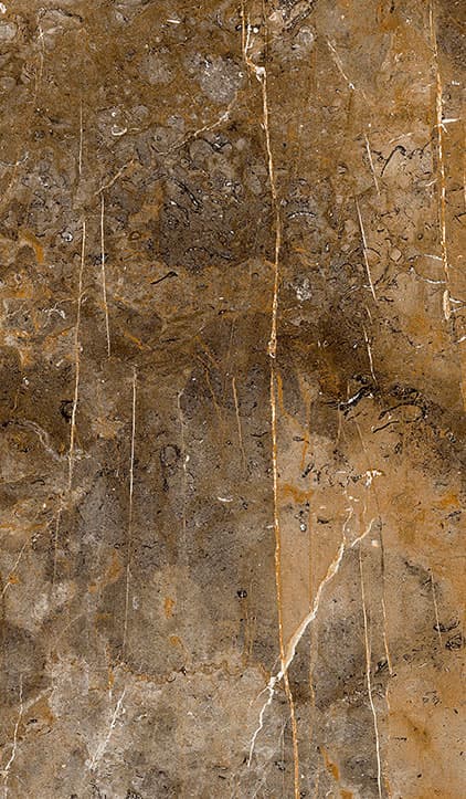 porcelanato villagres marmo cabernet polido 610025 61x106