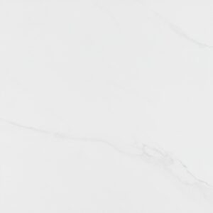 Porcelanato Eliane Cassini Gris Acetinado