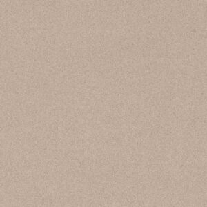 Porcelanato Eliane Micron Bege Antiderrapante