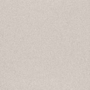 Porcelanato Eliane Micron Branco Polido